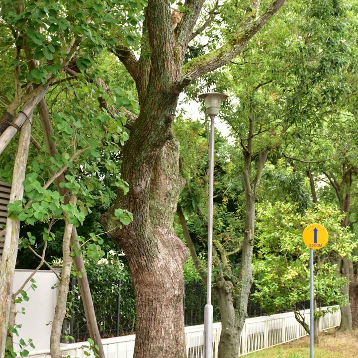 90f2350e 5877 4fda 8cf5 d5338bce3594