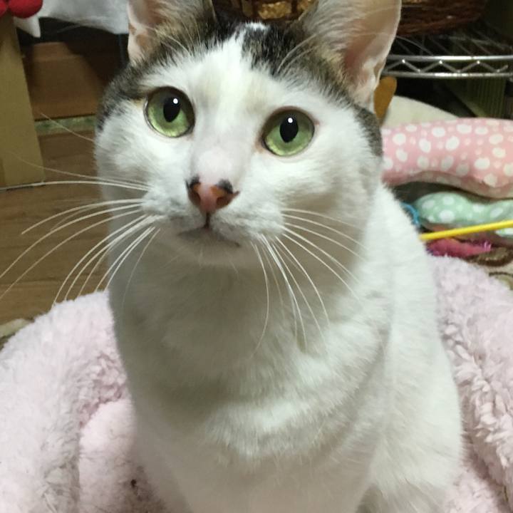 90f27d58 b118 4acb 8305 254cc1f03f93