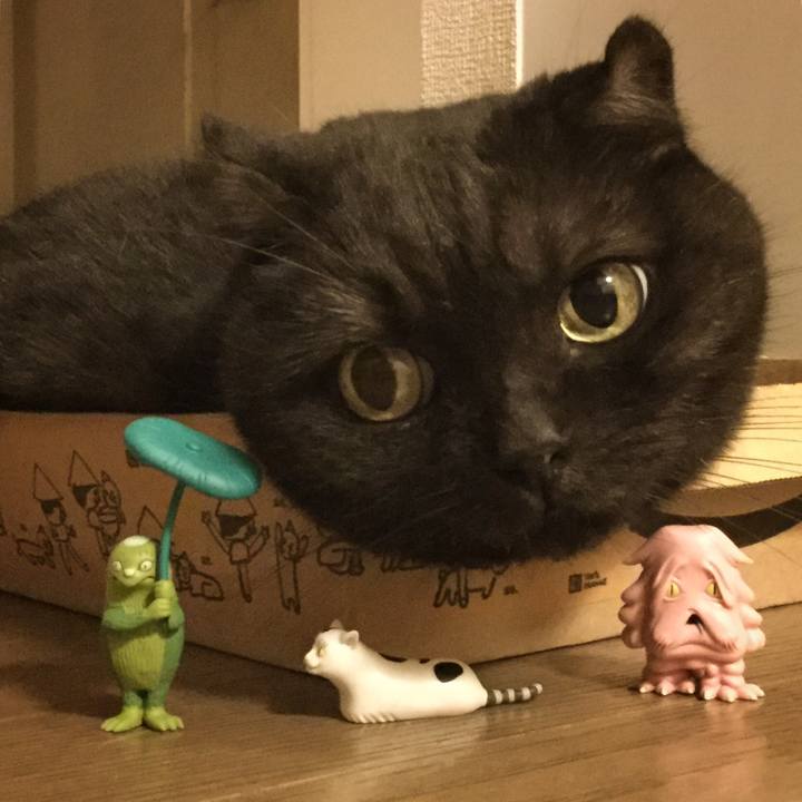 90f2fd4a 302e 4107 a81d c5d39492d950