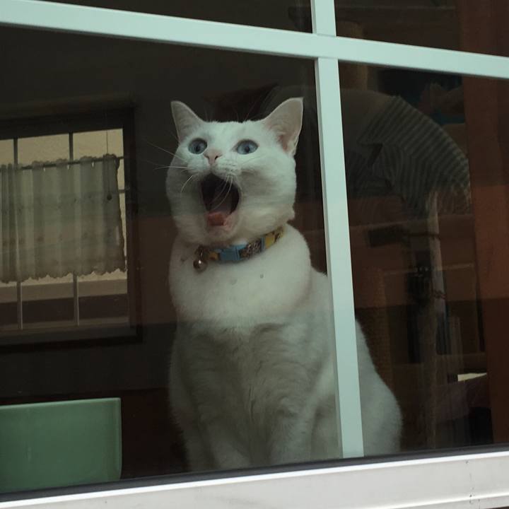 90f31293 b77d 43ee 9fdc 9fb645e9a31f