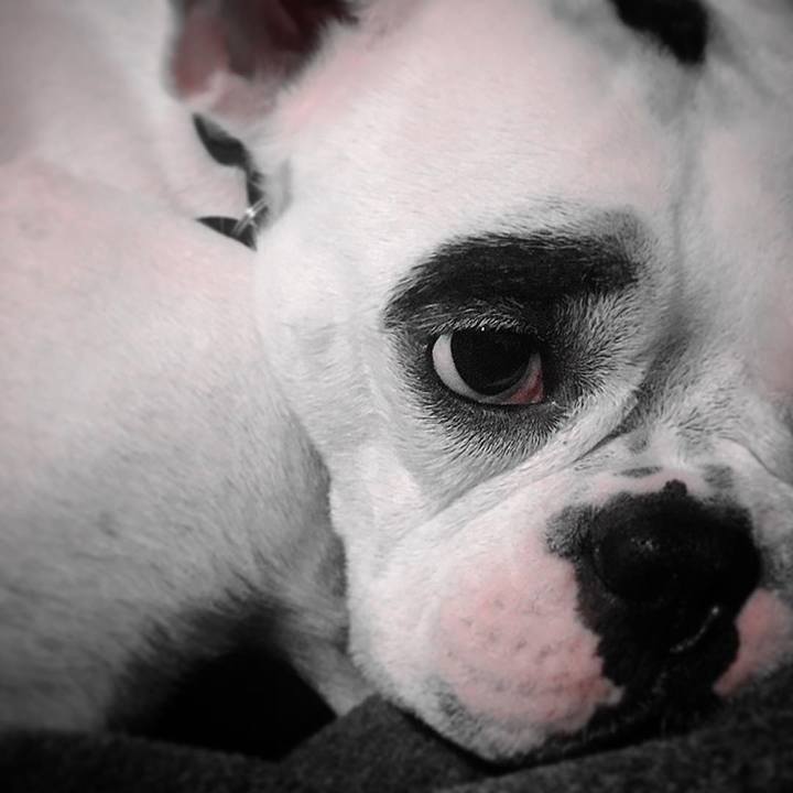 90f35018 bf87 4714 b9bf 583d84ec1135