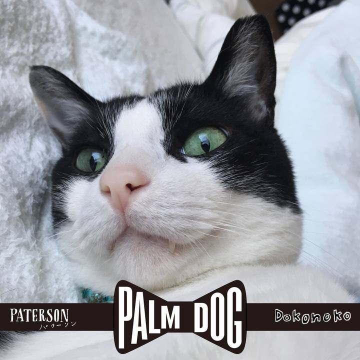 90f3890b 6466 4eee ace8 30a5b317cca9