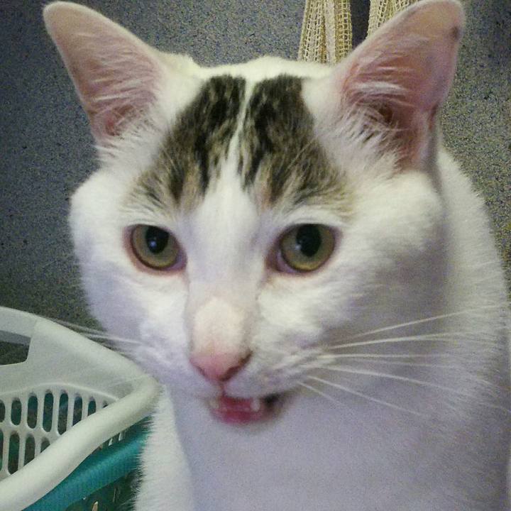 90f3c167 d7ef 4e84 93b3 5cdd80fbaea9