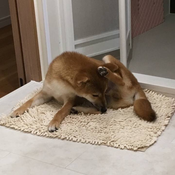 90f3d394 1a5f 425d 9510 6ce5b4ad3e3d