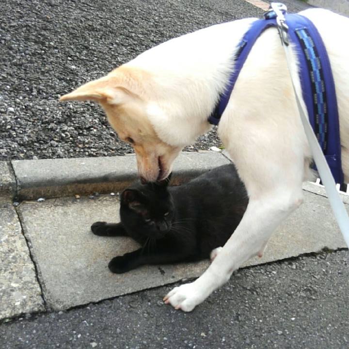 90f3f0bb 3694 4968 aa58 8f80a694a7da