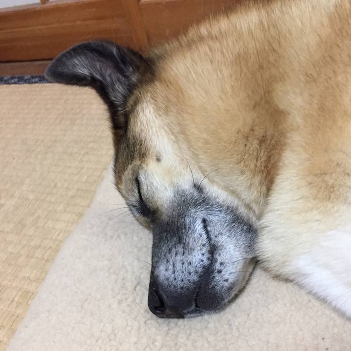 90f45d86 c9e7 4292 a855 0ada80492ee5