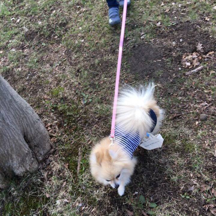 90f50eff bc5e 4e74 9c61 238faad7848f