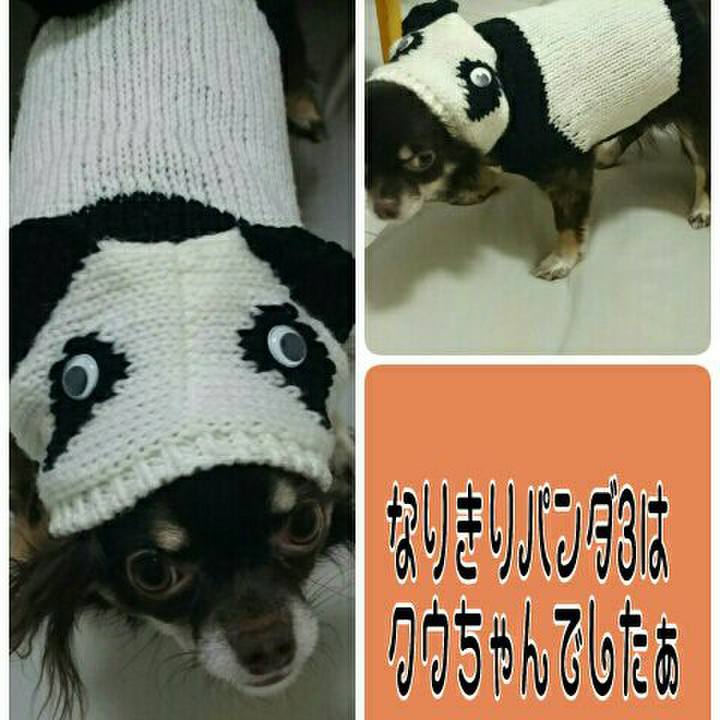 90f53612 3c1c 49a0 95ef 3d91dfa7f94e