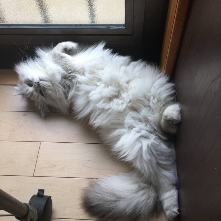 90f53ee8 fe6f 45ef 9478 bdcd6b4fb320