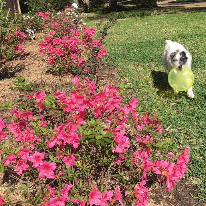 90f5b7fd f706 4b10 88ad 54fe57a8bb66