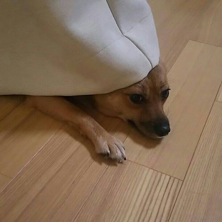 90f64cea bb4e 4711 9fa8 0f818ce7e5da