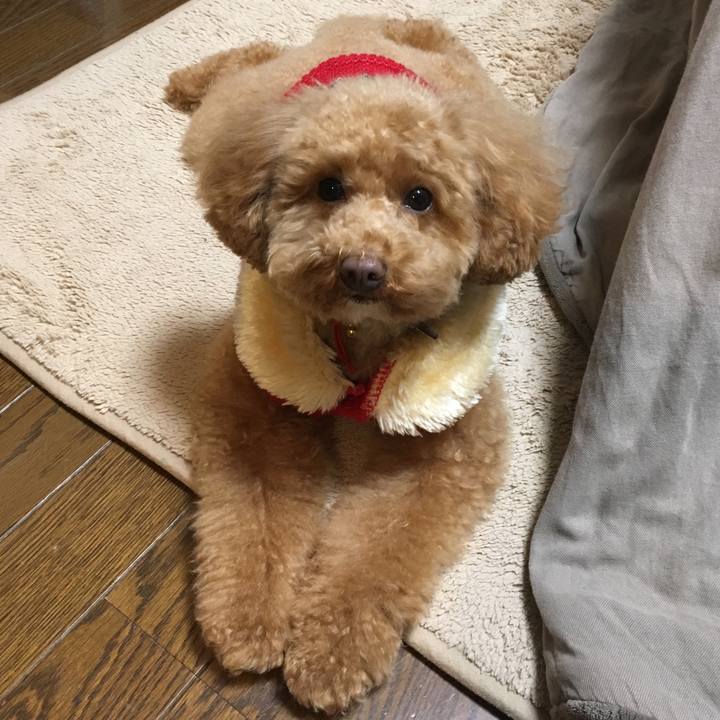 90f6599e d24d 4618 a717 f90c7e171a05