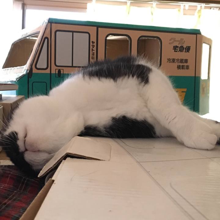 90f76789 a4fb 4189 92fe 2df98073cddd