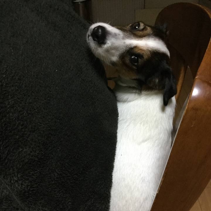 90f894fb 2756 4c7c 9076 b10b64333197