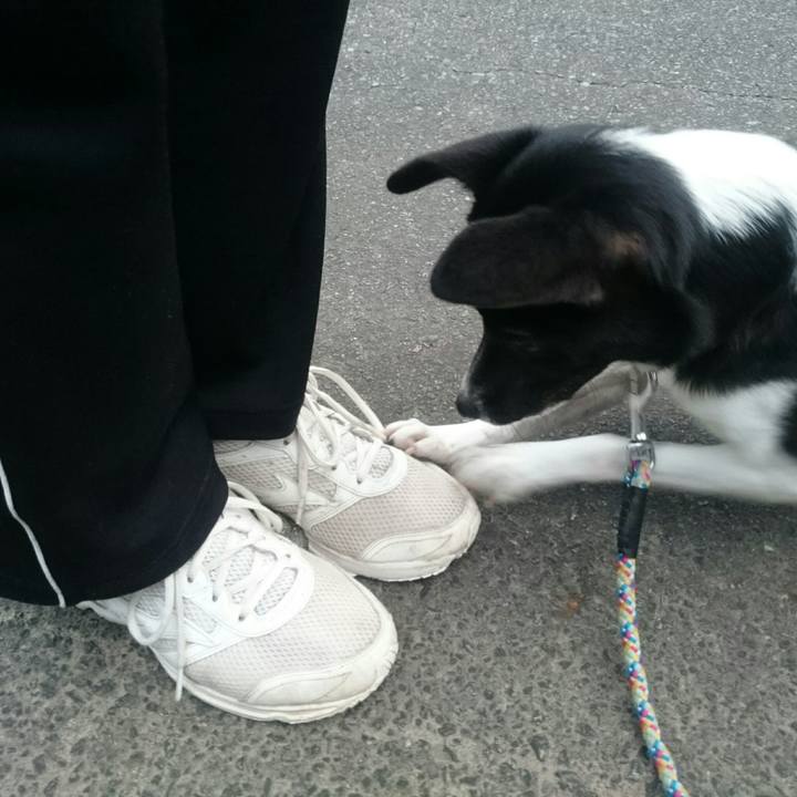 90f8a07e 9120 4da4 9637 8a4cd0ac4fd2