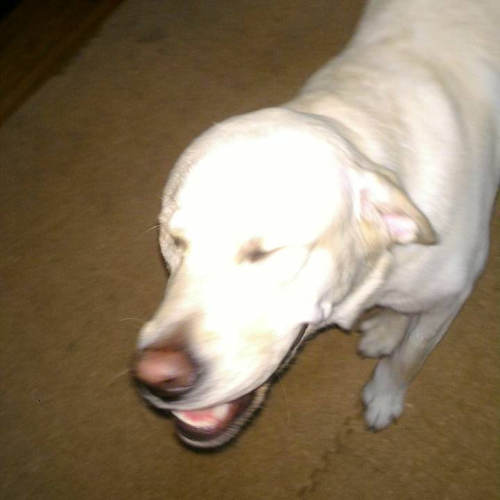 90f9e114 7b0a 4d0f a530 417d6784caa0