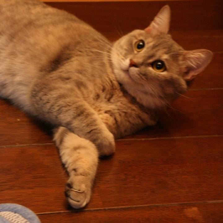 90f9f513 42fe 40e7 94a7 c554e51d50e0