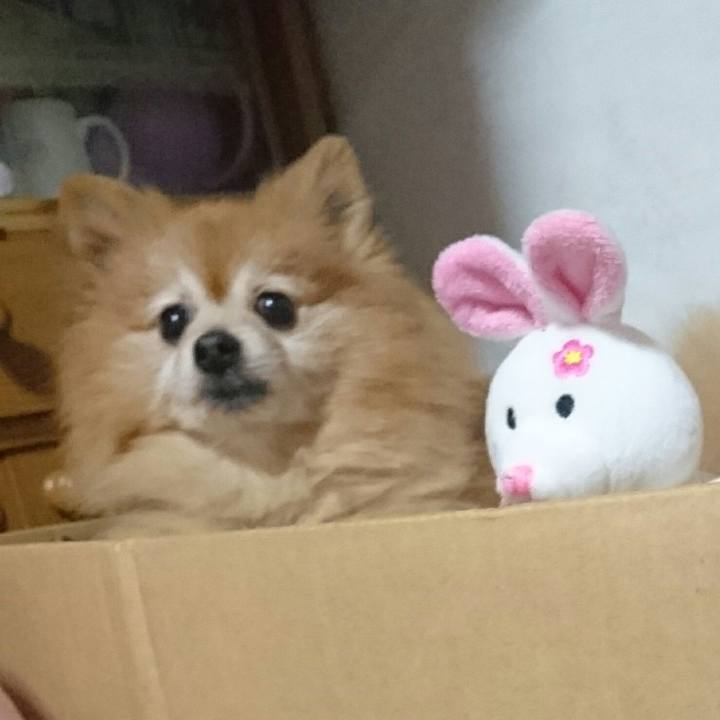 90fa3f10 b4b7 442a b181 59ff7687c417