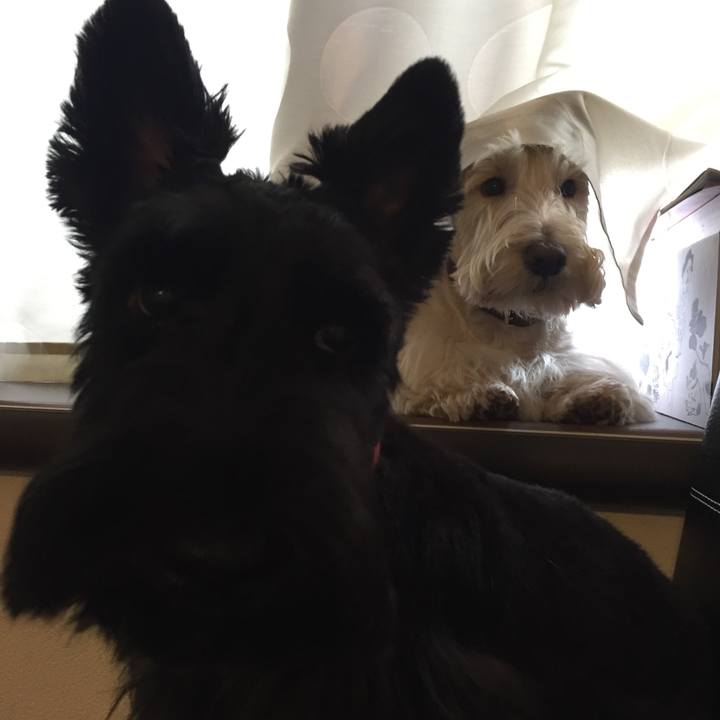 90fa41c3 9b8e 4bab 9f41 cdc234f6c8cf