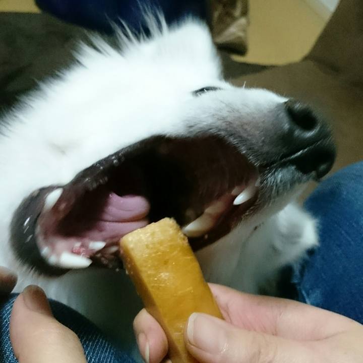 90faf556 e04c 4e50 8777 8aa522a8b66f