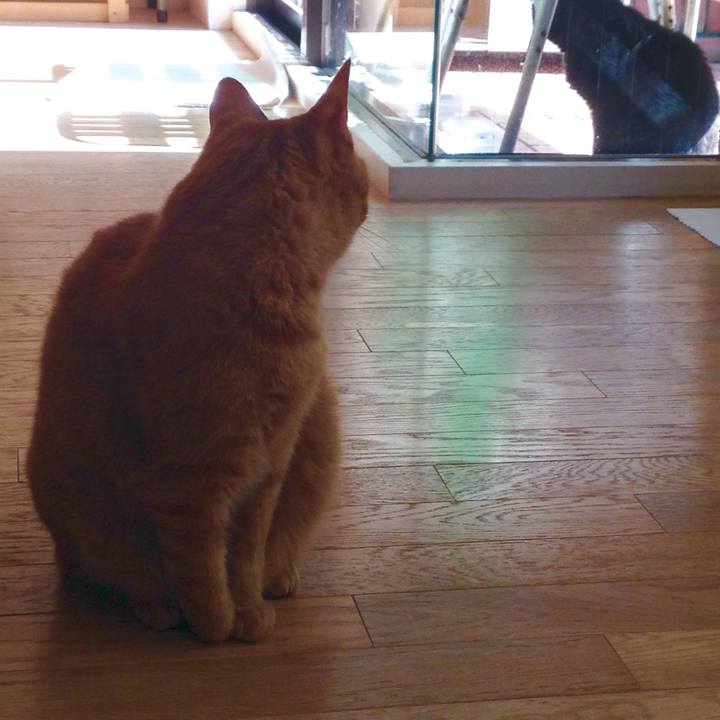 90fc10d6 67e9 414b b27f e7b2744b038f