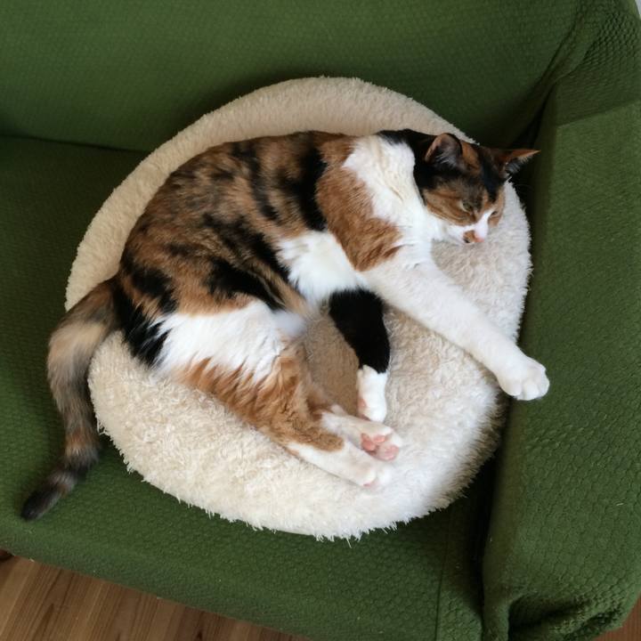 90fc15bc f6b1 48bb a6f5 47a45d06859a