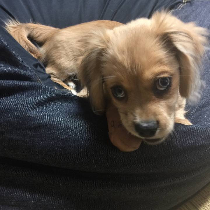 90fc6233 de1e 48d6 af8c 901208bd3589