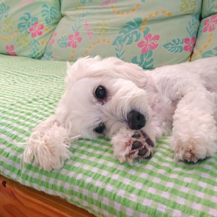 90fc8446 83fb 4622 8977 a52bba6efda1