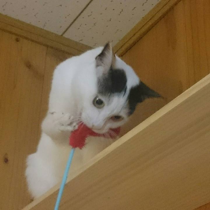 90fd76ae 38f6 4c22 ba1a 70d5526a7bb3