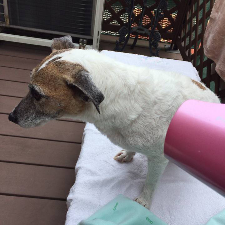 90fe022d e804 4ae6 894f 00141fc3e8f4