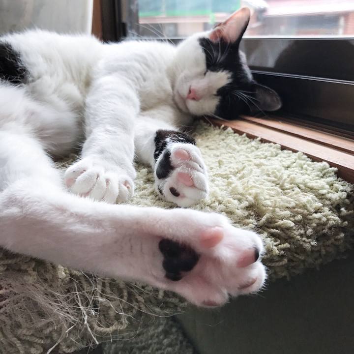 90fe051c 72ba 4d68 8f4f 8f2754970324