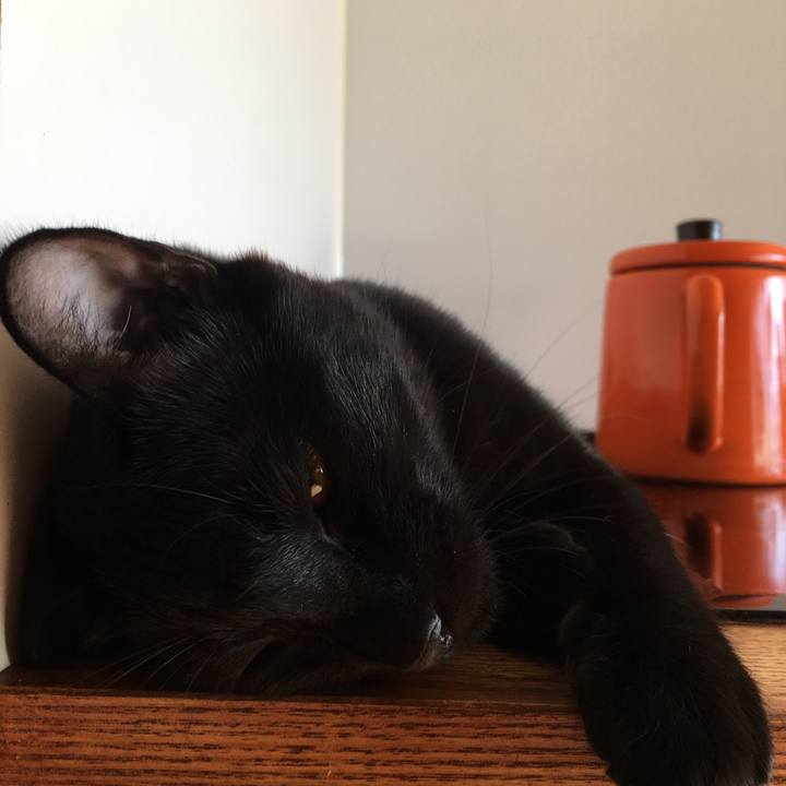 90fea34a e1b4 4c0b ab7f 980fd4f87f26