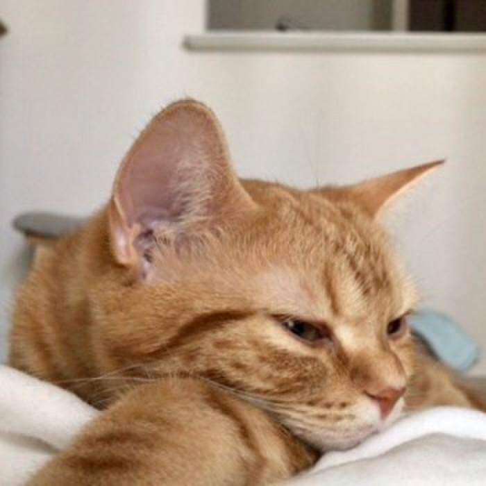 90ffc611 c533 4647 8748 883923fae19d