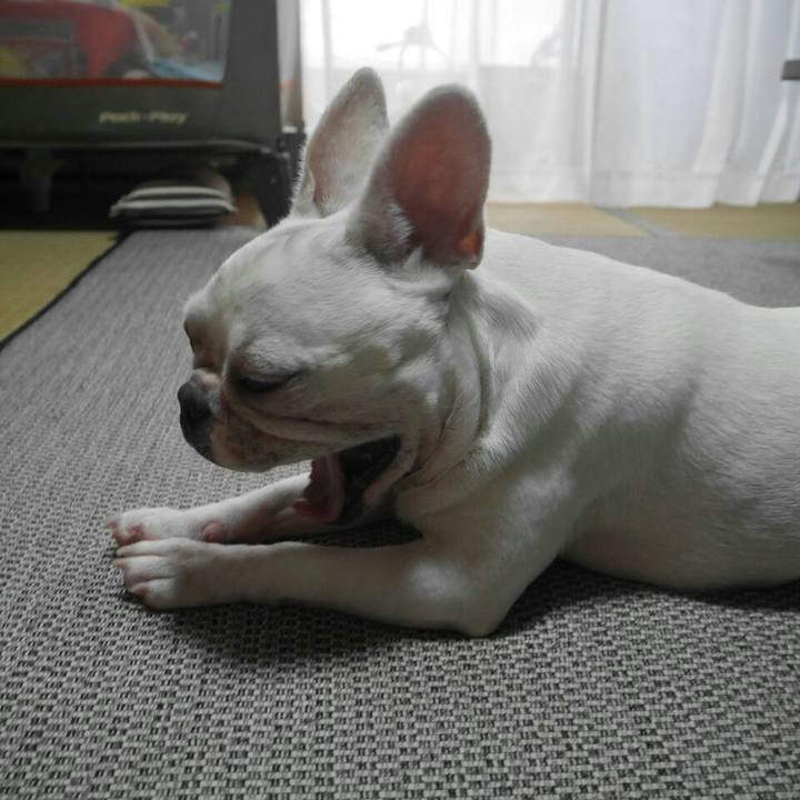 91009ab6 41cc 4159 8739 9b4d3981c3bc