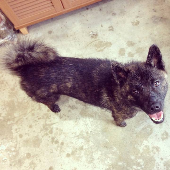 9100bf00 fe9b 4f22 b559 599c19d61d0d