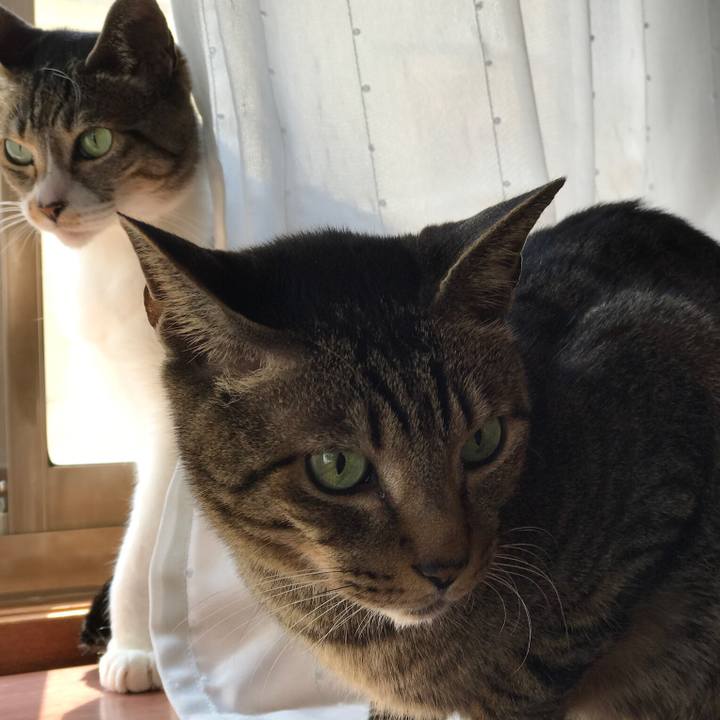 9100d551 9239 4d7e 876e 327a0a8568ab