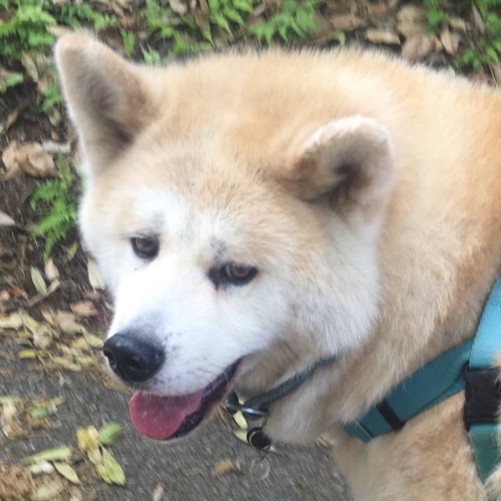 9100e5a6 feb0 4e41 a924 736d1d8d04d6