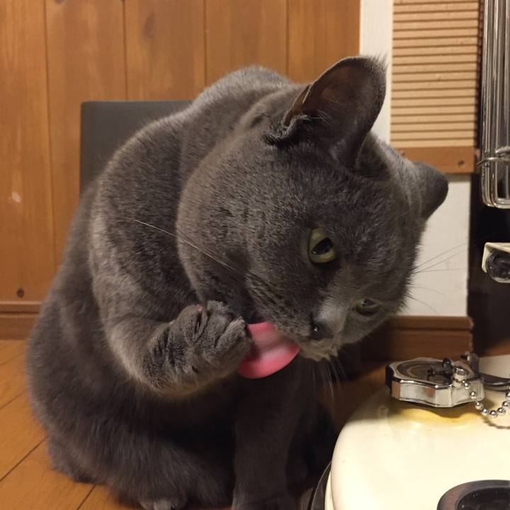 91012ffb 25e5 442d 891e 6b2daa16e0e4