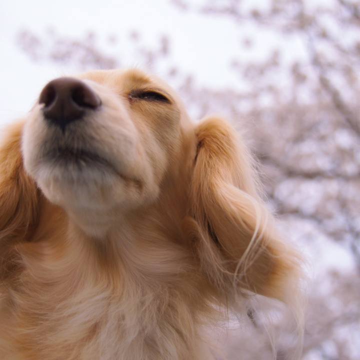 910195a9 6d03 4a76 a706 c4873208dbf9