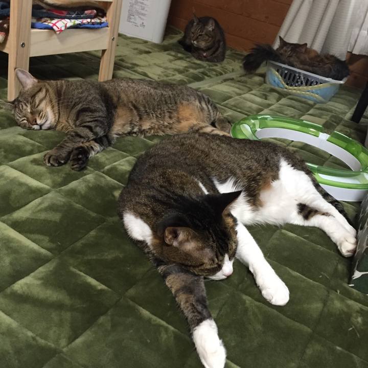 91019b5f 524e 42c7 bf55 6849a9c77d13