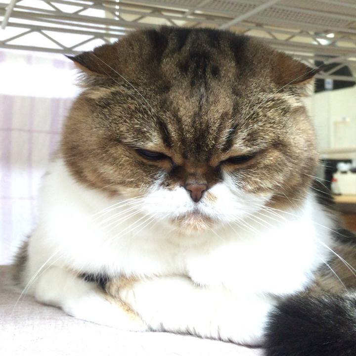 91022ac0 bdb7 4bf0 94d8 e325adc01e14