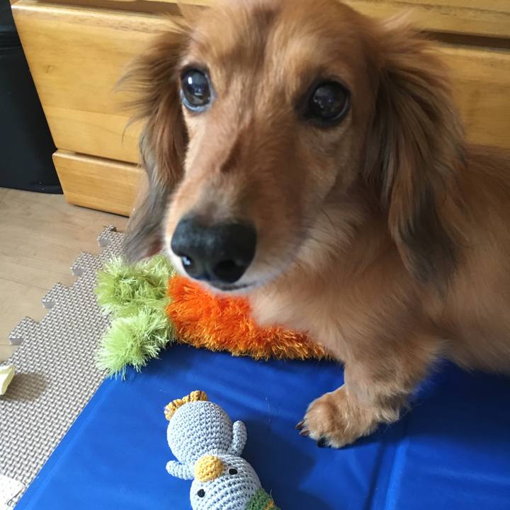 91025593 4107 4c5a 8d31 166e296f59f5