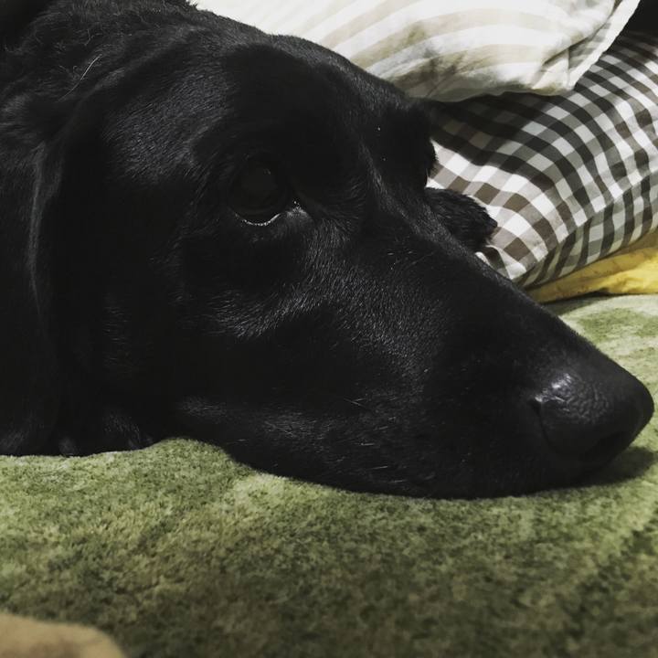 910269dd cf30 4aab 86e8 643a6aa7ae00