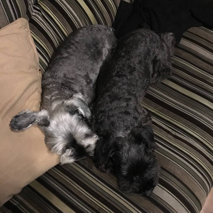 9102aa37 0ed9 4eeb b609 face0c1e1be7