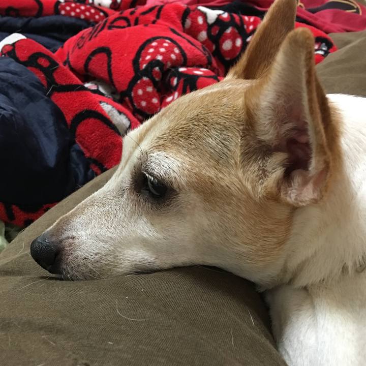 910336dc c8f7 4450 82f8 9b5a1f07af53