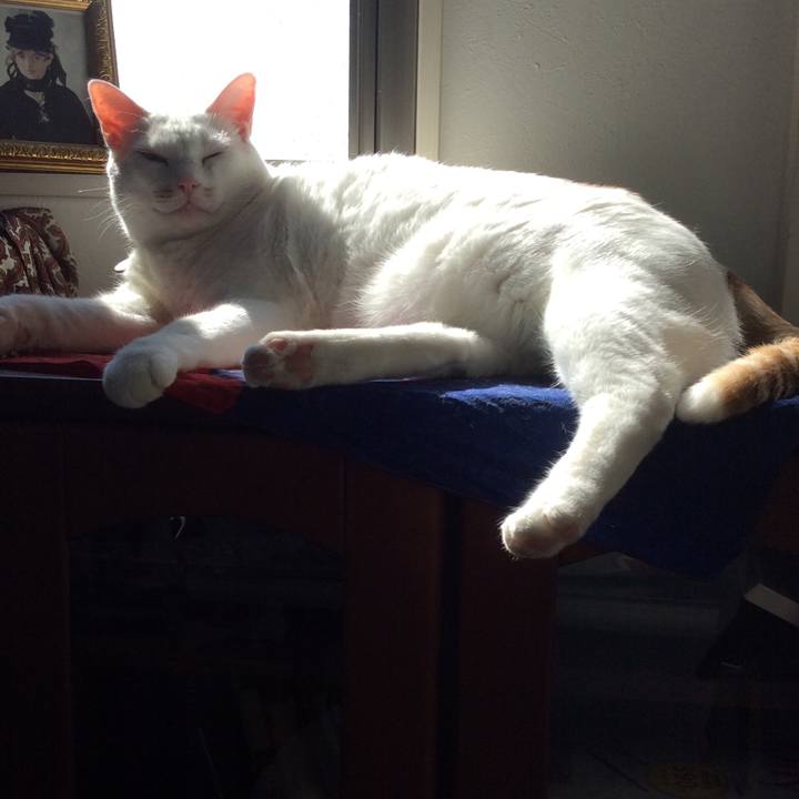 91041695 f77e 4b4a 955e 0906bd5cd1cd