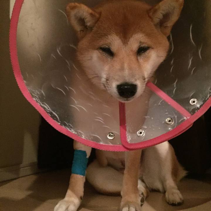 91045dce 5f41 4d6a a3e3 c1889a952bc1