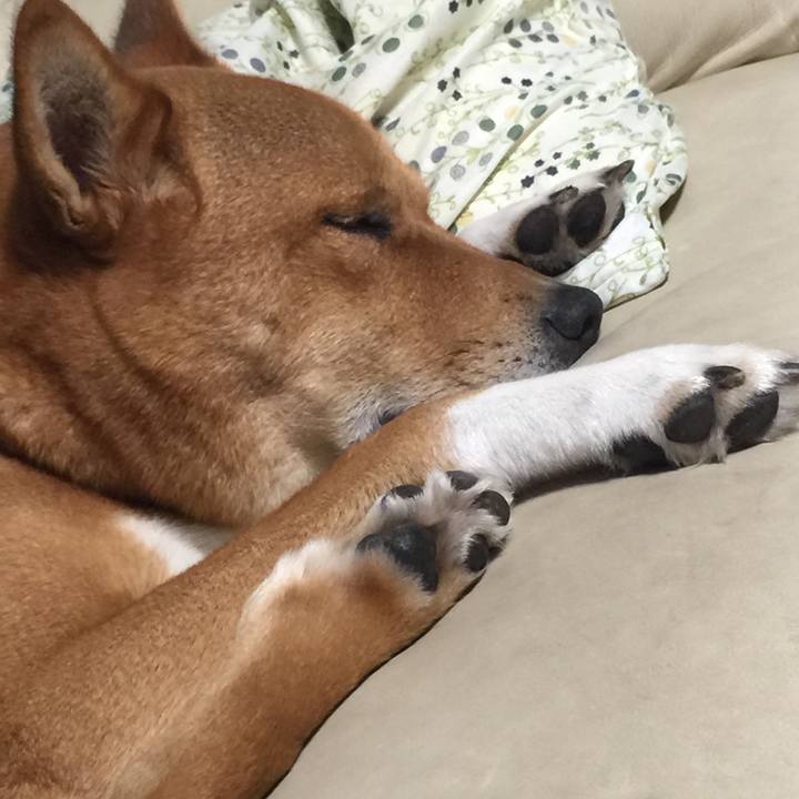 91046856 3bce 44dc a035 b354a4d7a170