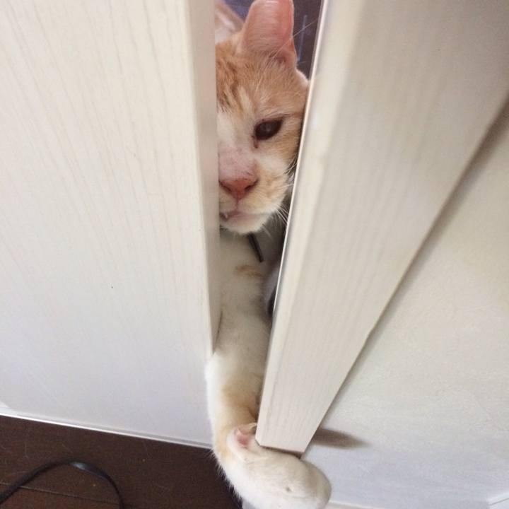 91046ebf 9d5b 46f9 a2af c6ea49aa2c49