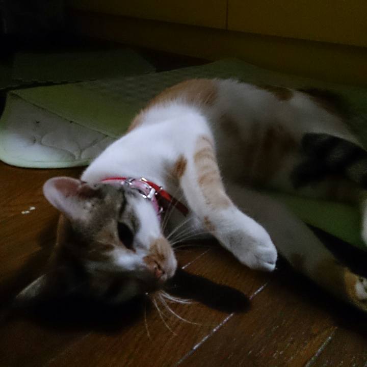 9104c356 f9c2 4715 9fb3 f6f08de2b017